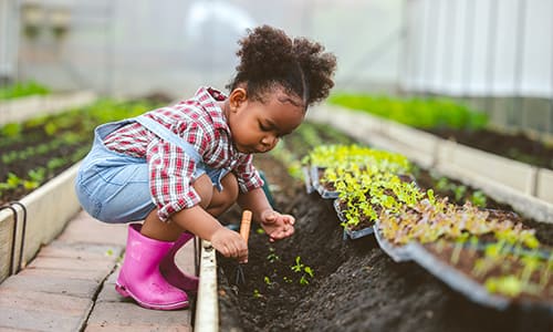 Trees in metropolis Environments